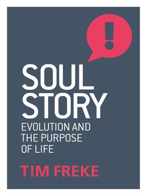 cover image of Soul Story